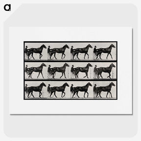 3-40_Eadweard-Muybridge_picture