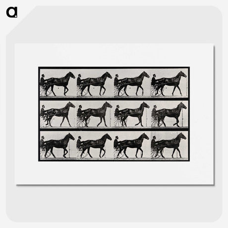 3-40_Eadweard-Muybridge_picture