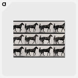 アートポストカード-Chariot and Horse
 - エドワード マイブリッジ Postcard.