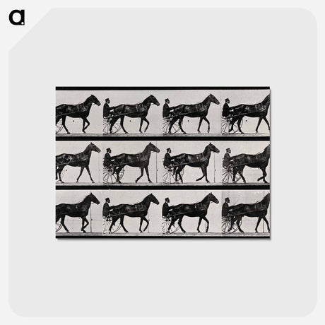 アートポストカード-Chariot and Horse
 - エドワード マイブリッジ Postcard.