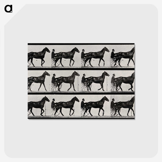 3-40_Eadweard-Muybridge_postcard