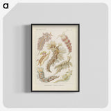 3-40_Ernst-Haeckel_blk-crop