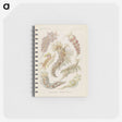 3-40_Ernst-Haeckel_memo