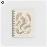 3-40_Ernst-Haeckel_memo