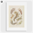 3-40_Ernst-Haeckel_picture