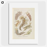 3-40_Ernst-Haeckel_picture