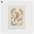 3-40_Ernst-Haeckel_postcard