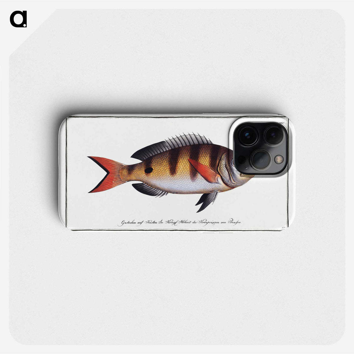 3-40_Ichtyologie-ou-Histoire-naturelle_phone