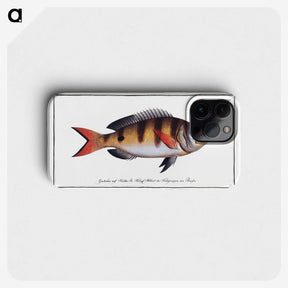 3-40_Ichtyologie-ou-Histoire-naturelle_phone