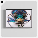 3-40_Insects-Unlocked-Project_blk-crop