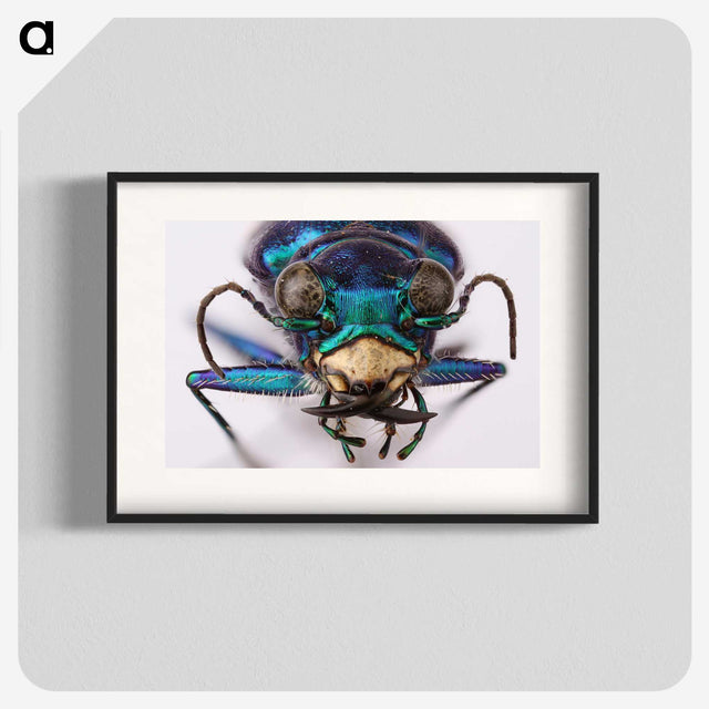3-40_Insects-Unlocked-Project_blk