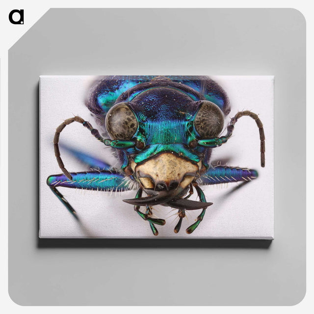 3-40_Insects-Unlocked-Project_canvas