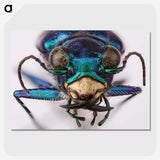 3-40_Insects-Unlocked-Project_picture-crop
