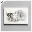 アートパネル-Sketch of a lying cat - ジャン ベルナール Canvas.