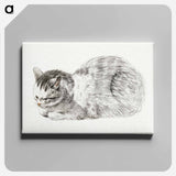 アートパネル-Sketch of a lying cat - ジャン ベルナール Canvas.
