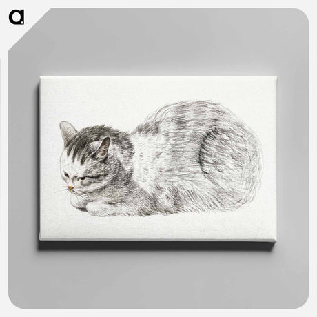 アートパネル-Sketch of a lying cat - ジャン ベルナール Canvas.