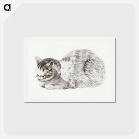 アートポストカード-Sketch of a lying cat - ジャン ベルナール Postcard.