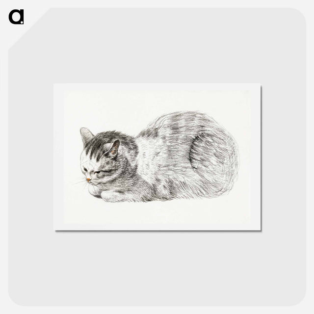 アートポストカード-Sketch of a lying cat - ジャン ベルナール Postcard.