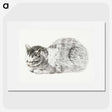 3-40_Jean-Bernard_picture
