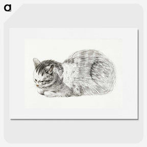 3-40_Jean-Bernard_picture