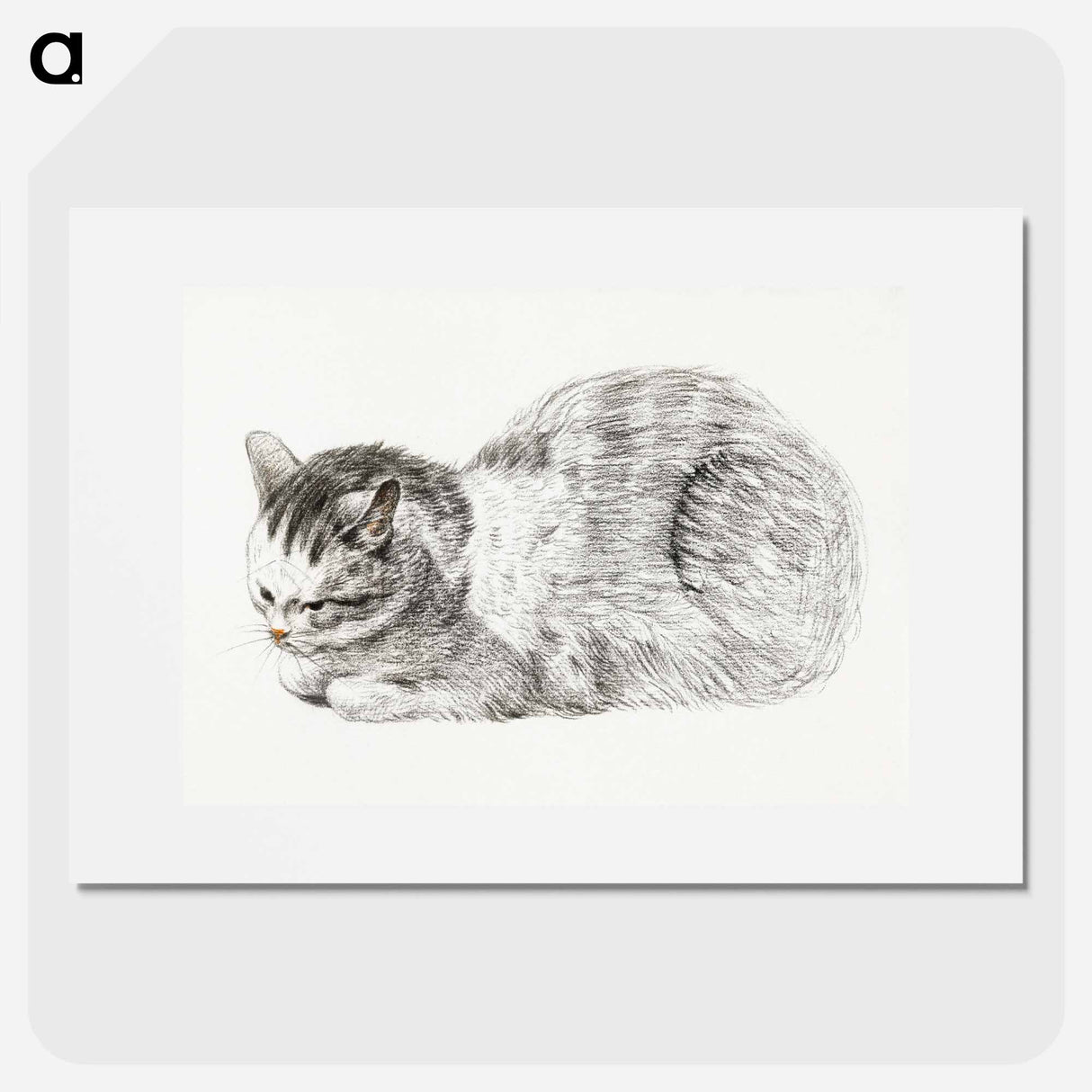 Sketch of a lying cat - Jean Bernard Poster.