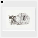 Sketch of a lying cat - Jean Bernard Poster.