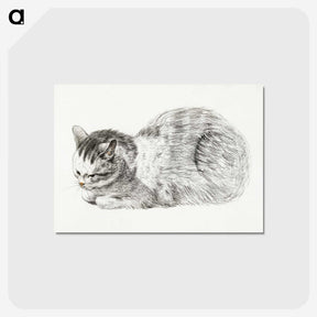 3-40_Jean-Bernard_postcard
