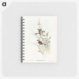 3-40_John-Gould_memo