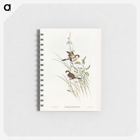 3-40_John-Gould_memo