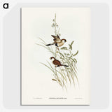 3-40_John-Gould_picture-crop