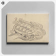 アートパネル-Sea Turtle (Emblem of Longevity) - 葛飾 北斎 Canvas.