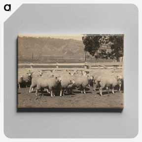 3-40_Leslie-Adkin_canvas