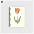 3-40_Maria-Sibylla-Merian_memo