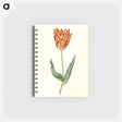 アートメモ帳-Tulipa Gesneriana
 - マリア ジビーラ メーリアン Memo.