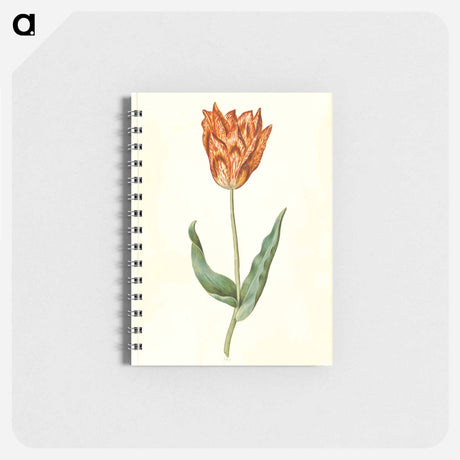 アートメモ帳-Tulipa Gesneriana
 - マリア ジビーラ メーリアン Memo.