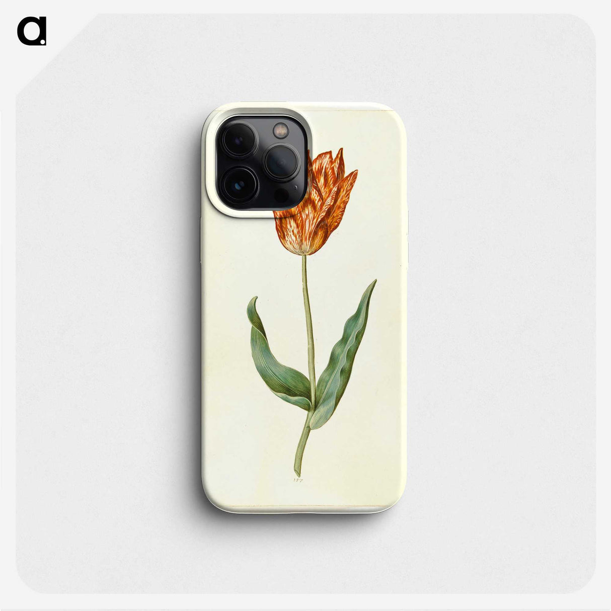 3-40_Maria-Sibylla-Merian_phone