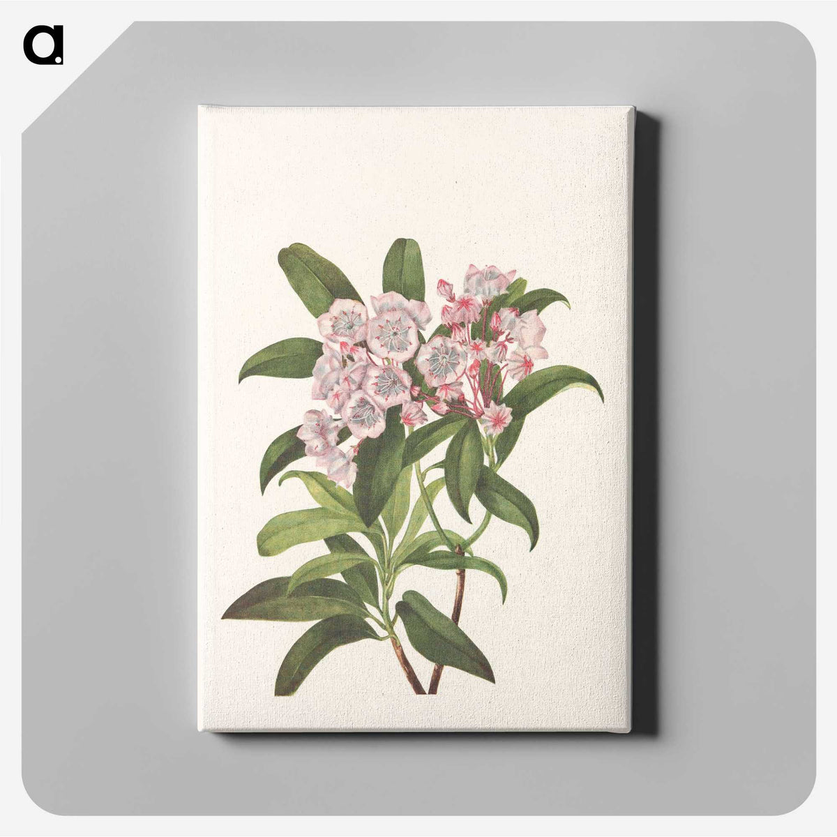 3-40_Mary-Vaux-Walcott_canvas