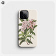 3-40_Mary-Vaux-Walcott_phone