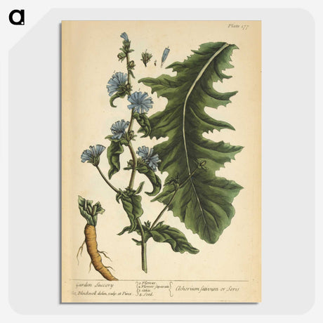 3-40_National-Library-of-Medicine_picture-crop