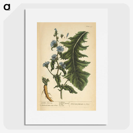3-40_National-Library-of-Medicine_picture