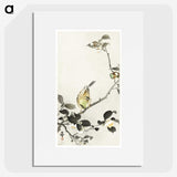 3-40_Ohara-Koson_picture
