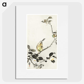 3-40_Ohara-Koson_picture
