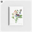 3-40_Pierre-Joseph-Redoute_memo