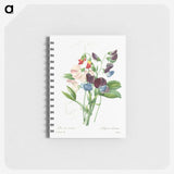 3-40_Pierre-Joseph-Redoute_memo