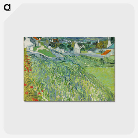 アートポストカード-Vineyards at Auvers
 - セントルイス美術館 Postcard.