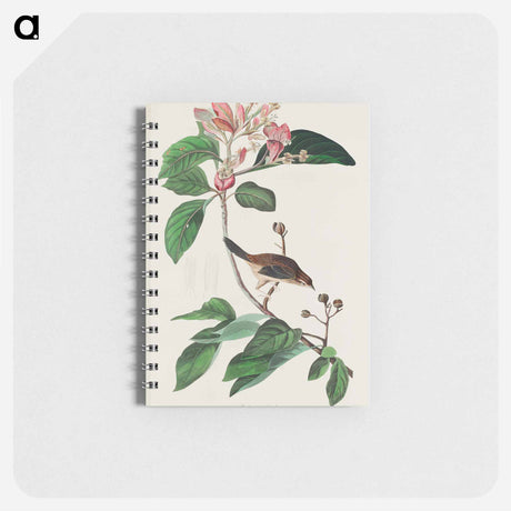 アートメモ帳-Bachman's Finch from Birds of America
 - アメリカの鳥たち Memo.