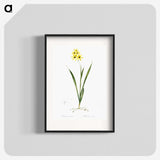 3-40_The-Lilies_blk