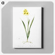 3-40_The-Lilies_canvas