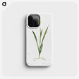 3-40_The-Lilies_phone