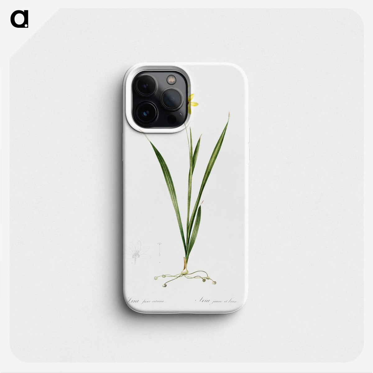 3-40_The-Lilies_phone